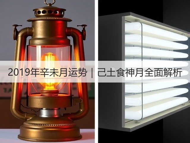 2019年辛未月运势|己土食神月全面解析(图3) 2019年辛未月运势|己土食神月全面解析(图3)