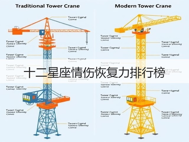 十二星座情伤恢复力排行榜(图2) 十二星座情伤恢复力排行榜(图2)