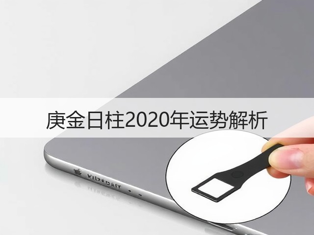 庚金日柱2020年运势解析(图3) 庚金日柱2020年运势解析(图3)
