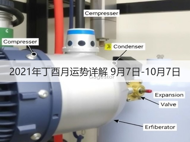 2021年丁酉月运势详解 9月7日-10月7日(图3) 2021年丁酉月运势详解 9月7日-10月7日(图3)