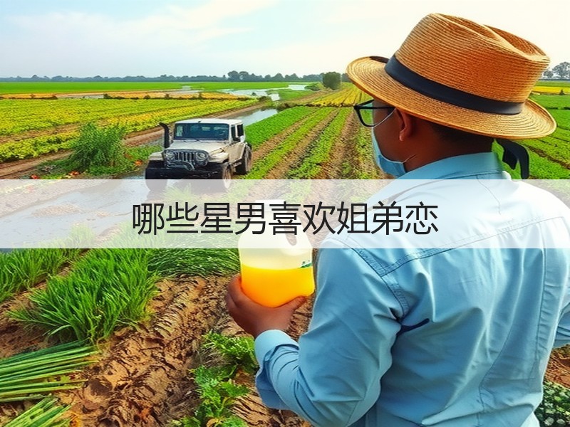 哪些星男喜欢姐弟恋