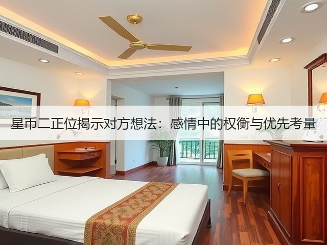 星币二正位揭示对方想法:感情中的权衡与优先考量(图1) 星币二正位揭示对方想法:感情中的权衡与优先考量(图1)