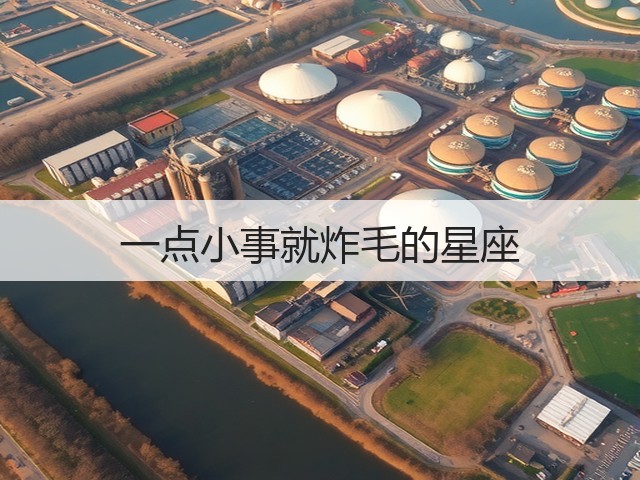 一点小事就炸毛的星座(图1)