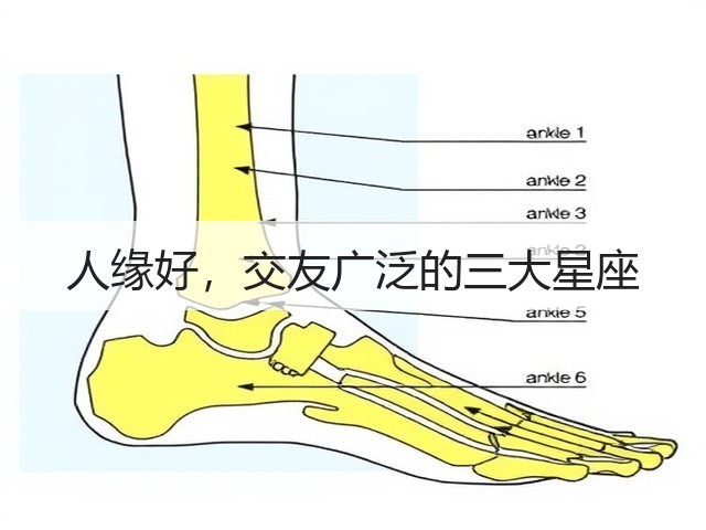 人缘好,交友广泛的三大星座(图1) 人缘好,交友广泛的三大星座(图1)