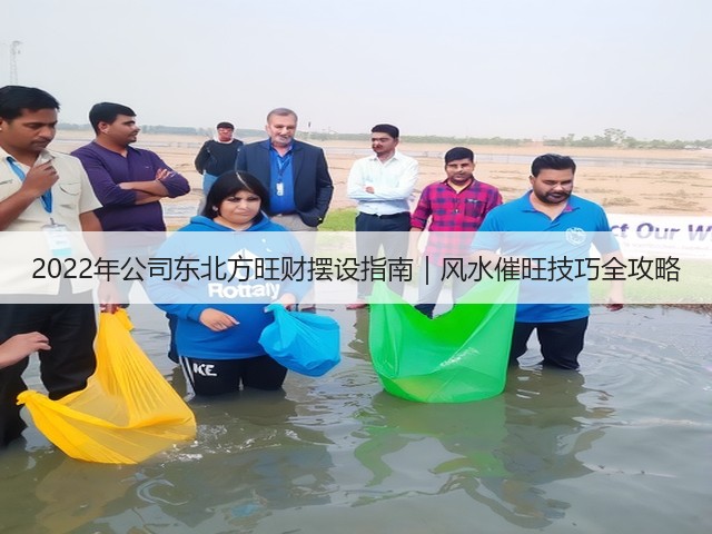 2022年公司东北方旺财摆设指南|风水催旺技巧全攻略(图3) 2022年公司东北方旺财摆设指南|风水催旺技巧全攻略(图3)
