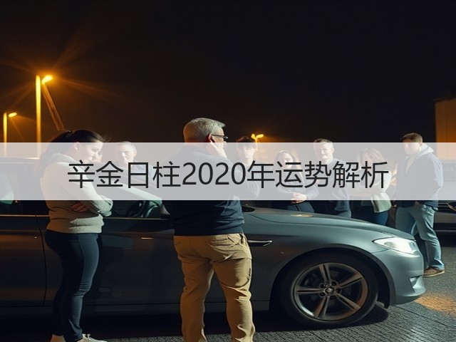 辛金日柱2020年运势解析(图2)