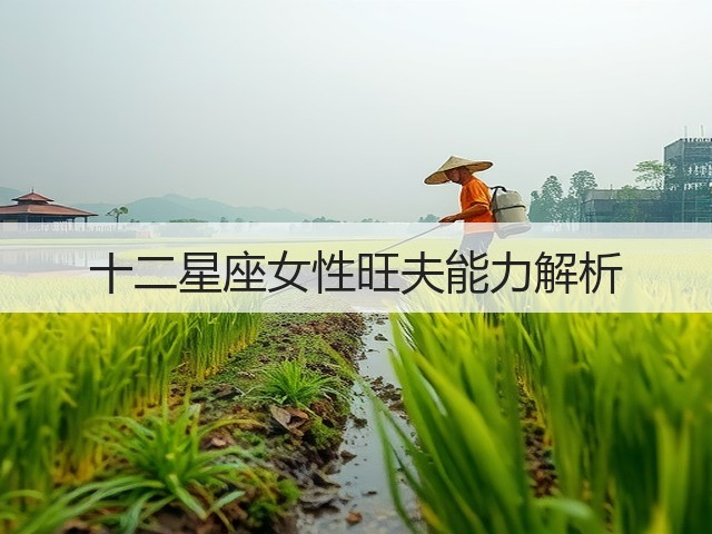 十二星座女性旺夫能力解析(图1)