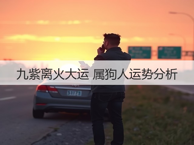 九紫离火大运 属狗人运势分析(图1) 九紫离火大运 属狗人运势分析(图1)