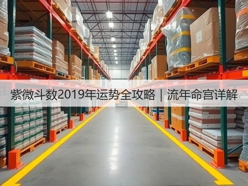 紫微斗数2019年运势全攻略｜流年命宫详解
