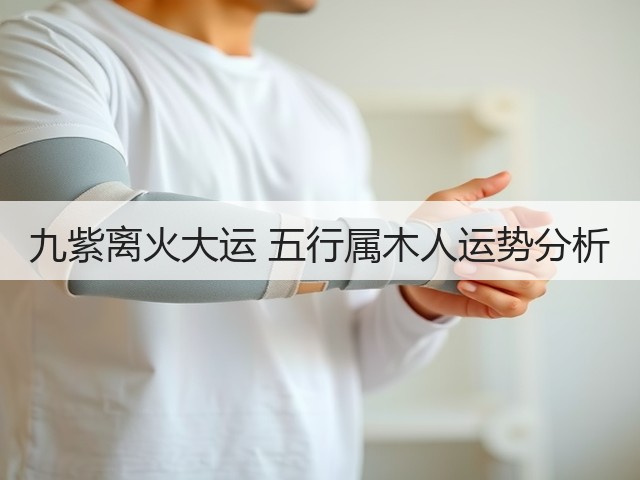 九紫离火大运 五行属木人运势分析(图2) 九紫离火大运 五行属木人运势分析(图2)