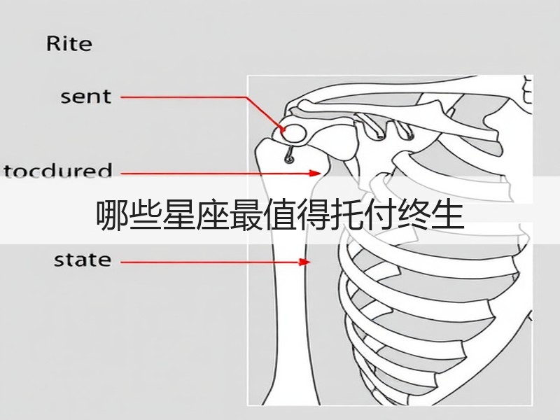 哪些星座最值得托付终生