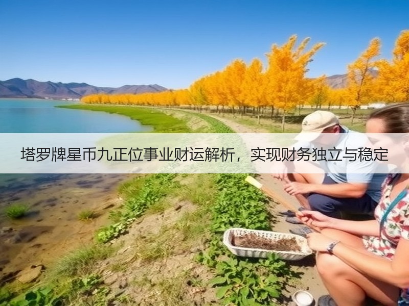 塔罗牌星币九正位事业财运解析，实现财务独立与稳定