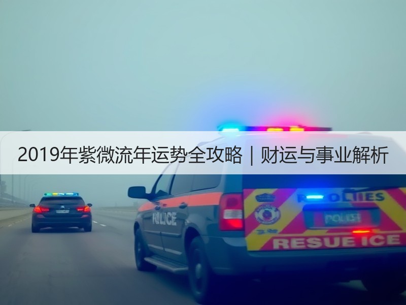 2019年紫微流年运势全攻略｜财运与事业解析