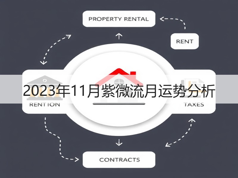 2023年11月紫微流月运势分析