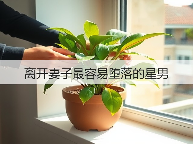 离开妻子最容易堕落的星男(图1) 离开妻子最容易堕落的星男(图1)