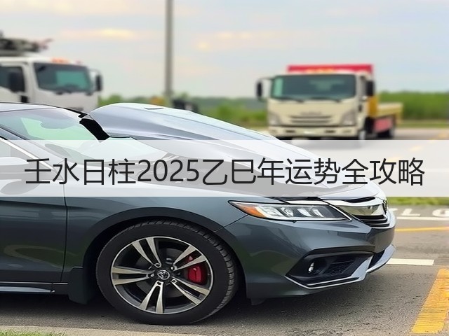 壬水日柱2025乙巳年运势全攻略(图3) 壬水日柱2025乙巳年运势全攻略(图3)