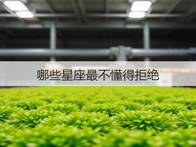 哪些星座最不懂得拒绝(图1) 哪些星座最不懂得拒绝(图1)