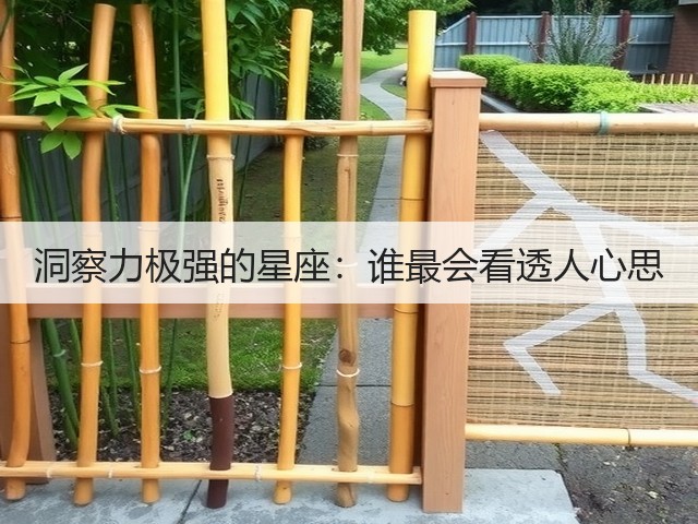 洞察力极强的星座:谁最会看透人心思(图3) 洞察力极强的星座:谁最会看透人心思(图3)
